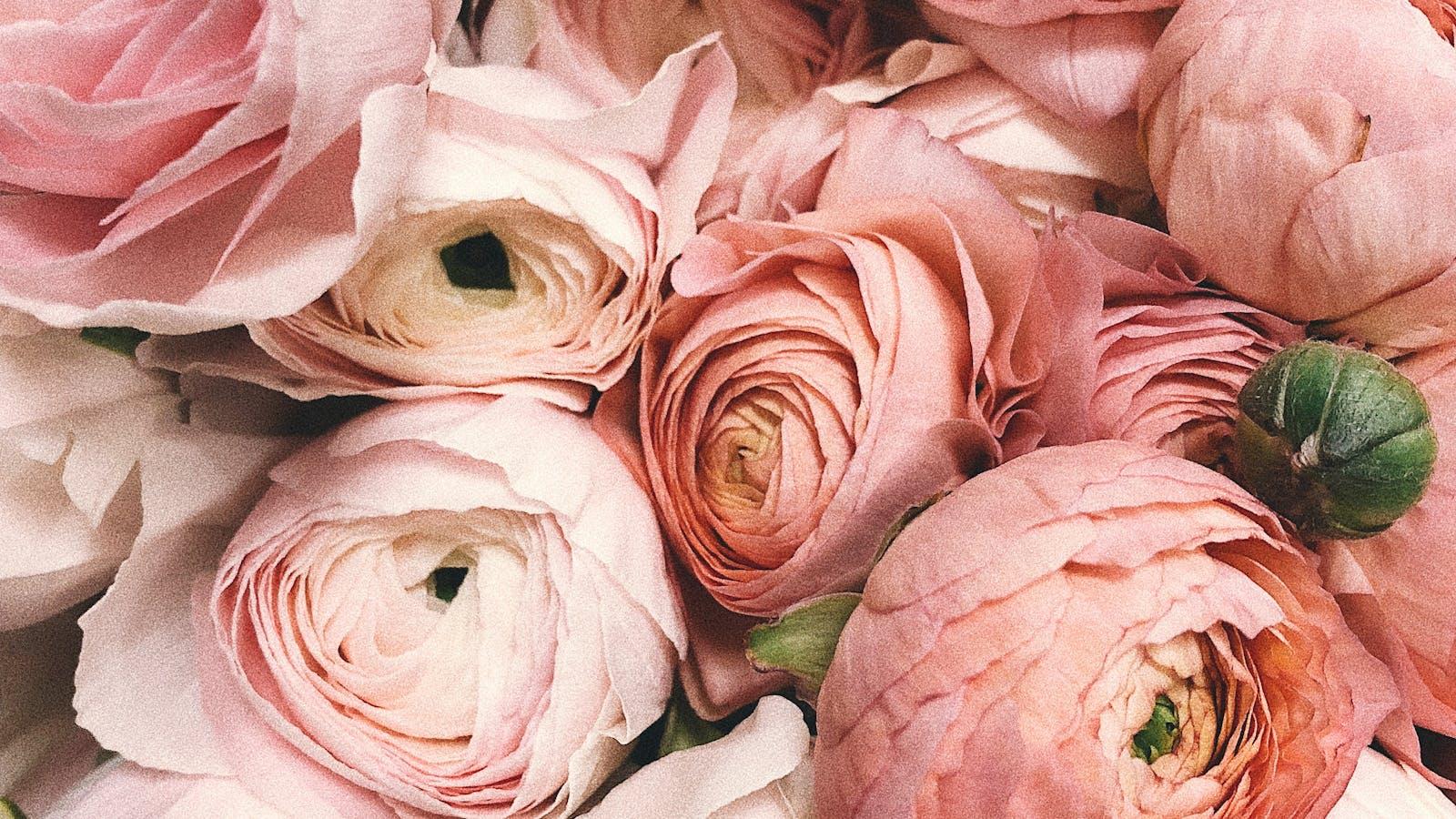 Pretty Flower Shop hero image 1